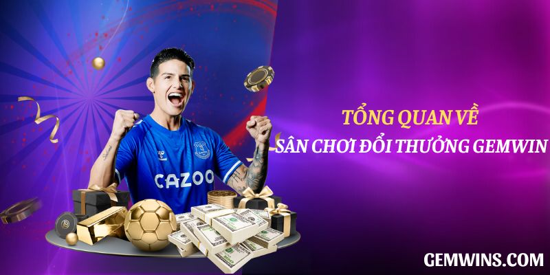 Hình minh họa hướng dẫn Subet
