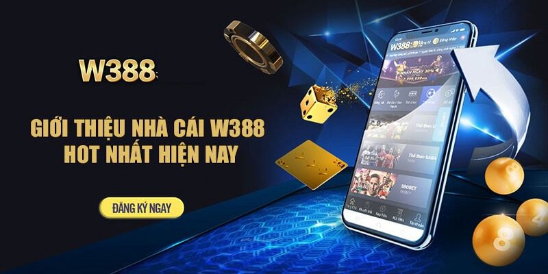 Đối chiếu thông tin thay vì suy đoán - Gobet